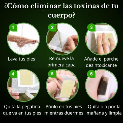 Pack x10 Parches DetoxDream™ – Desintoxica tu cuerpo mientras duermes