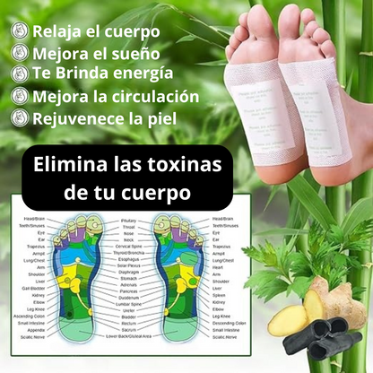 Pack x10 Parches DetoxDream™ – Desintoxica tu cuerpo mientras duermes